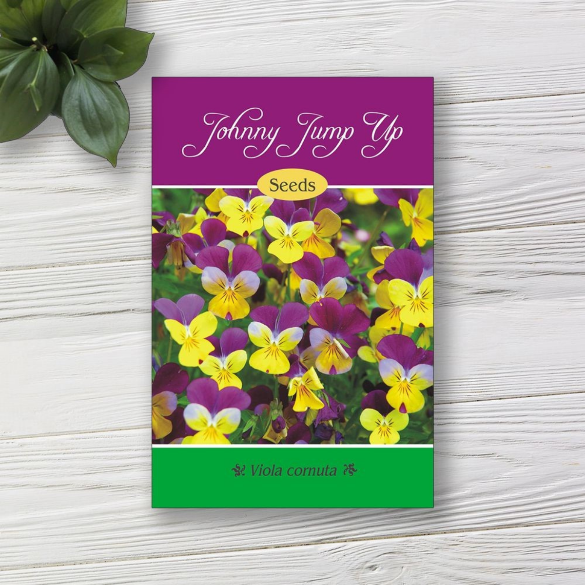 Expert Guide to Using Free Seed Packet Labels and Templates