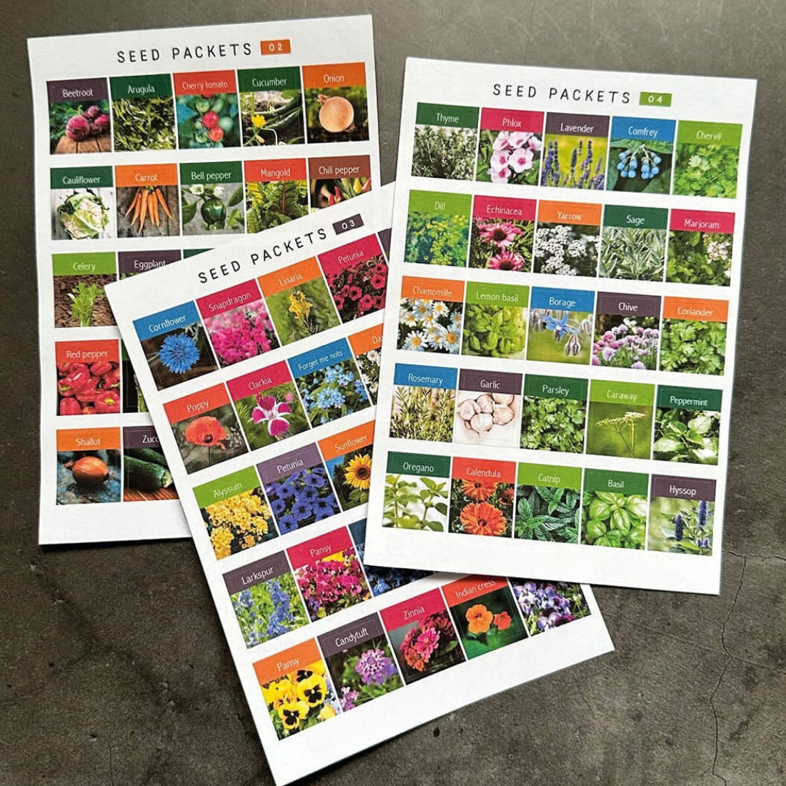 Comprehensive Guide to Custom Seed Packet Stickers