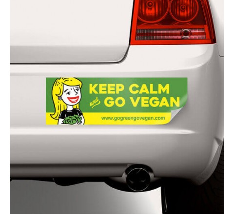 Bumper Magnet Stickers