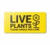 Plant Care Labels - Gallery Image